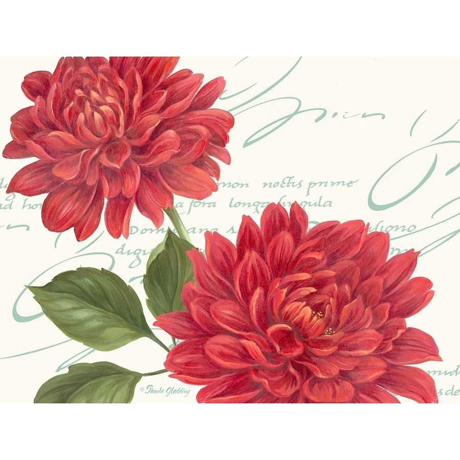 Red Dahlias Poster Print by Pamela Gladding-VARPDXGLA636 Image 1