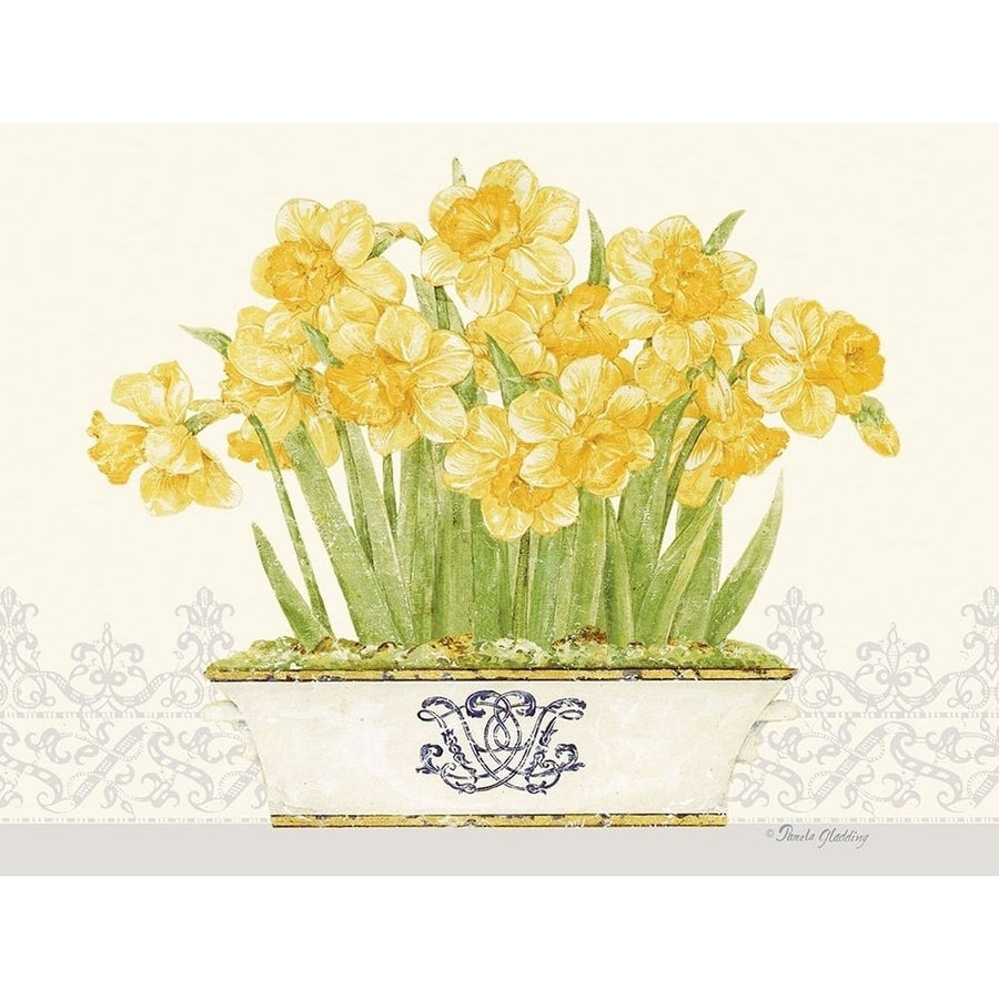 Imperial Daffodils Horizontal by Pamela Gladding-VARPDXGLA647 Image 1