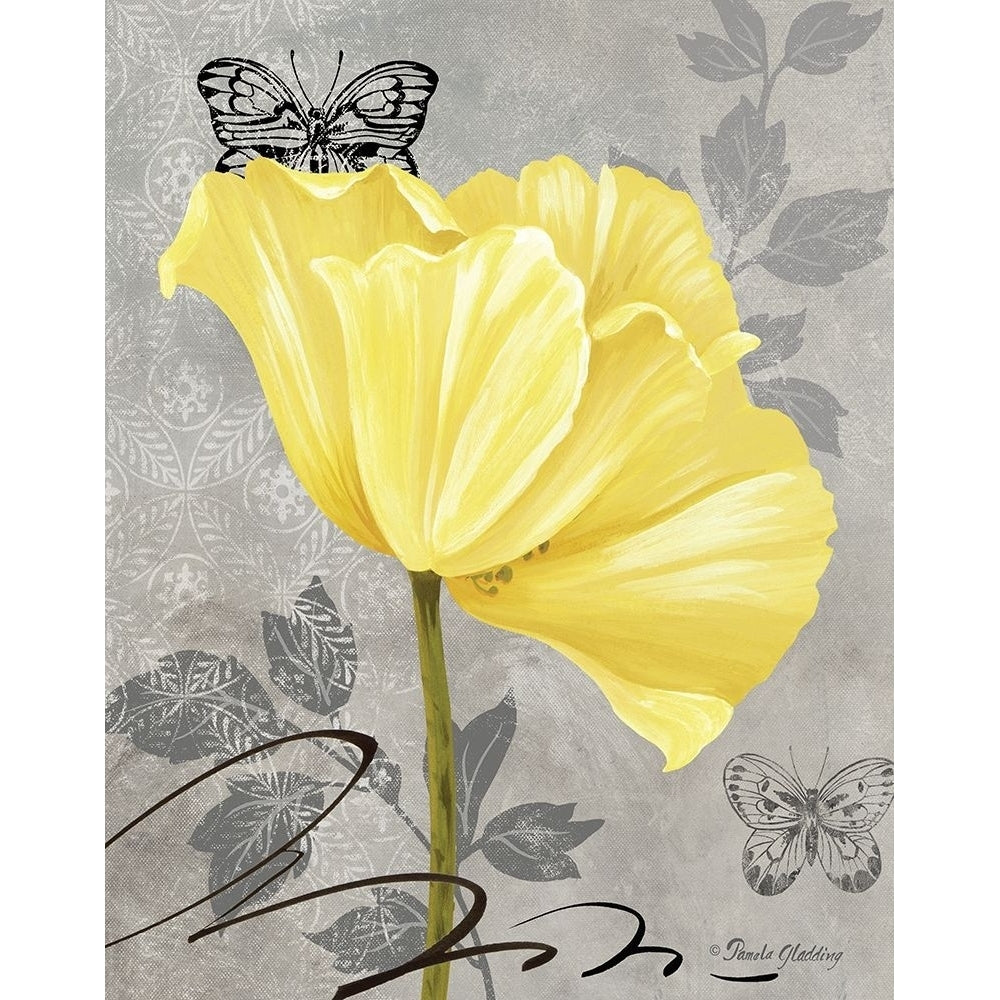 Gray and Yellow Poppies I by Pamela Gladding-VARPDXGLA654 Image 1