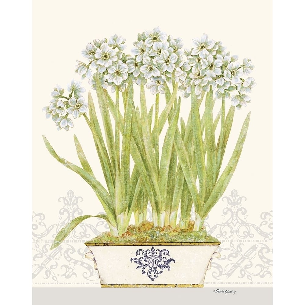 Imperial Narcissus by Pamela Gladding-VARPDXGLA645 Image 1