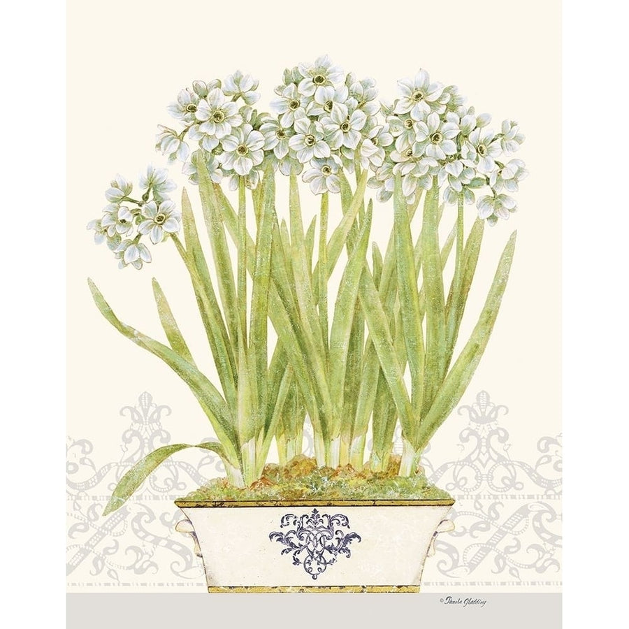 Imperial Narcissus by Pamela Gladding-VARPDXGLA645 Image 1