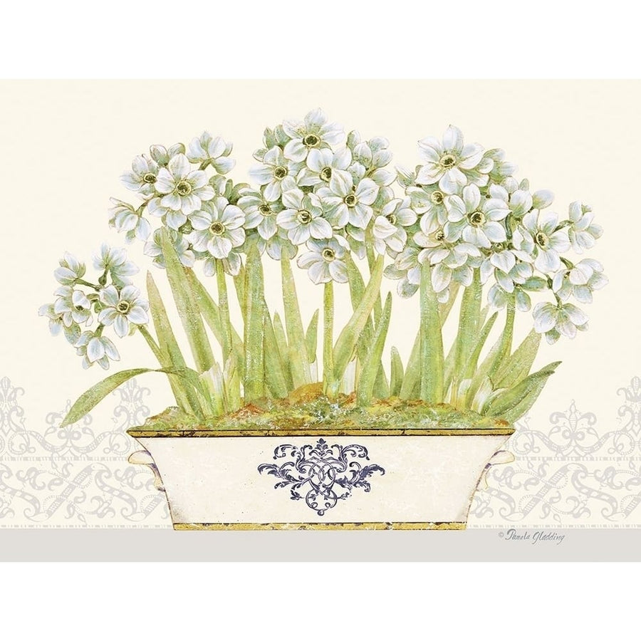 Imperial Narcissus Horizontal by Pamela Gladding-VARPDXGLA649 Image 1