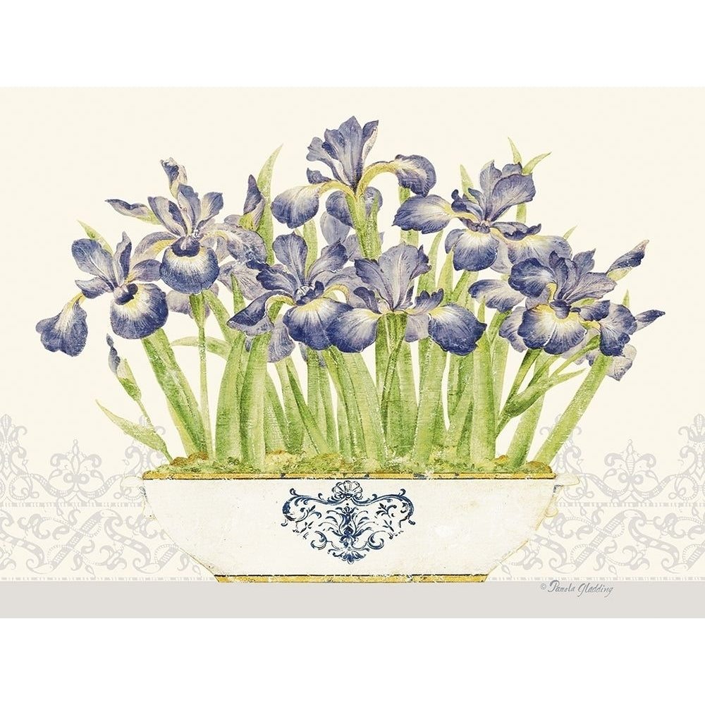 Imperial Irises Horizontal by Pamela Gladding-VARPDXGLA648 Image 1