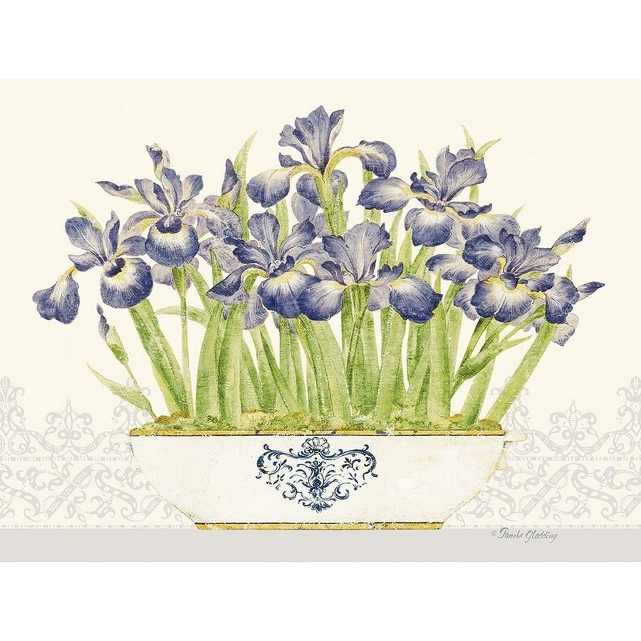 Imperial Irises Horizontal by Pamela Gladding-VARPDXGLA648 Image 1