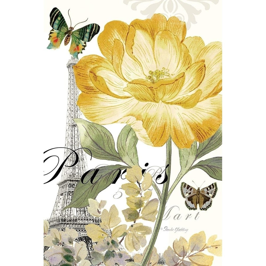 Paris Peony by Pamela Gladding-VARPDXGLA670 Image 1