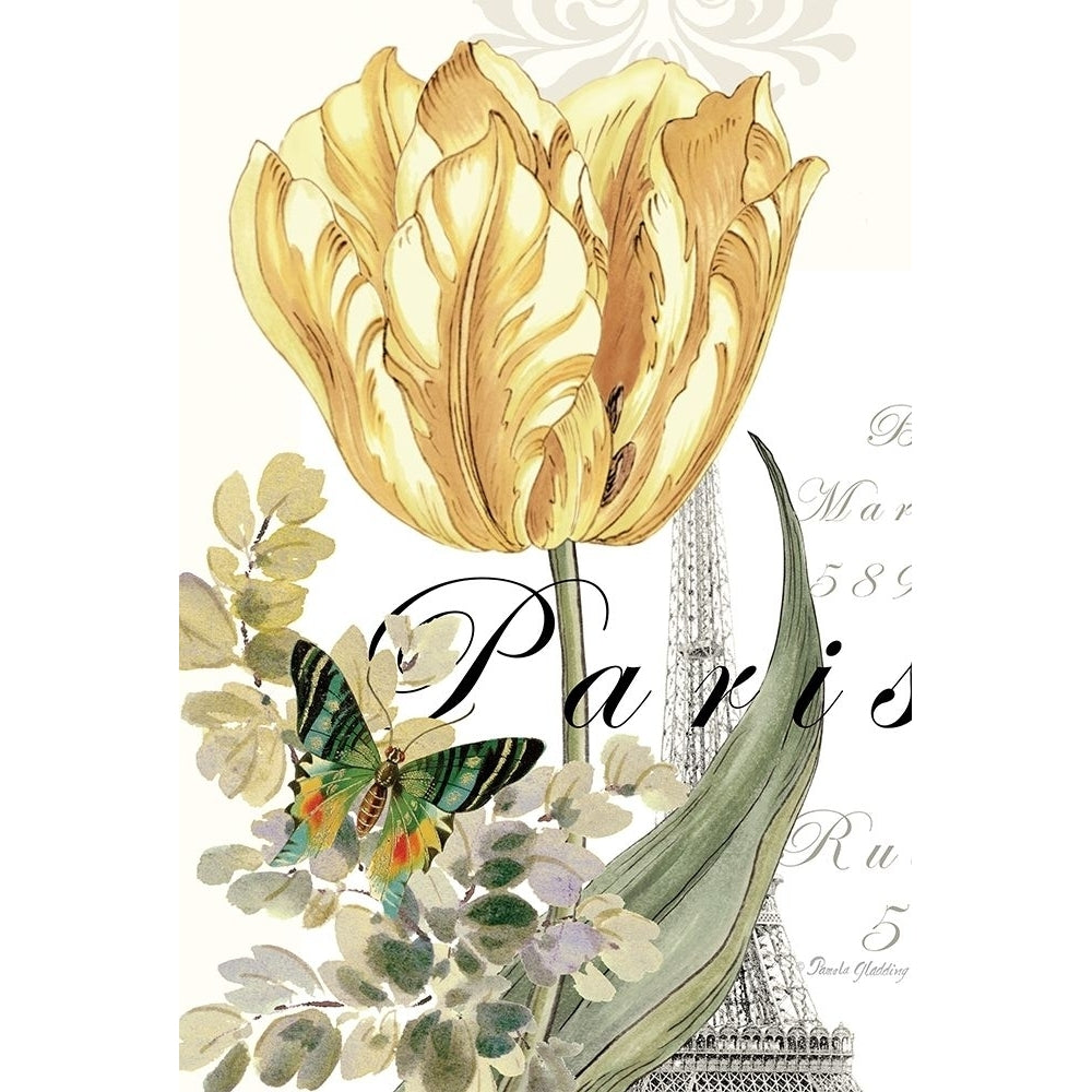 Paris Tulip by Pamela Gladding-VARPDXGLA671 Image 1