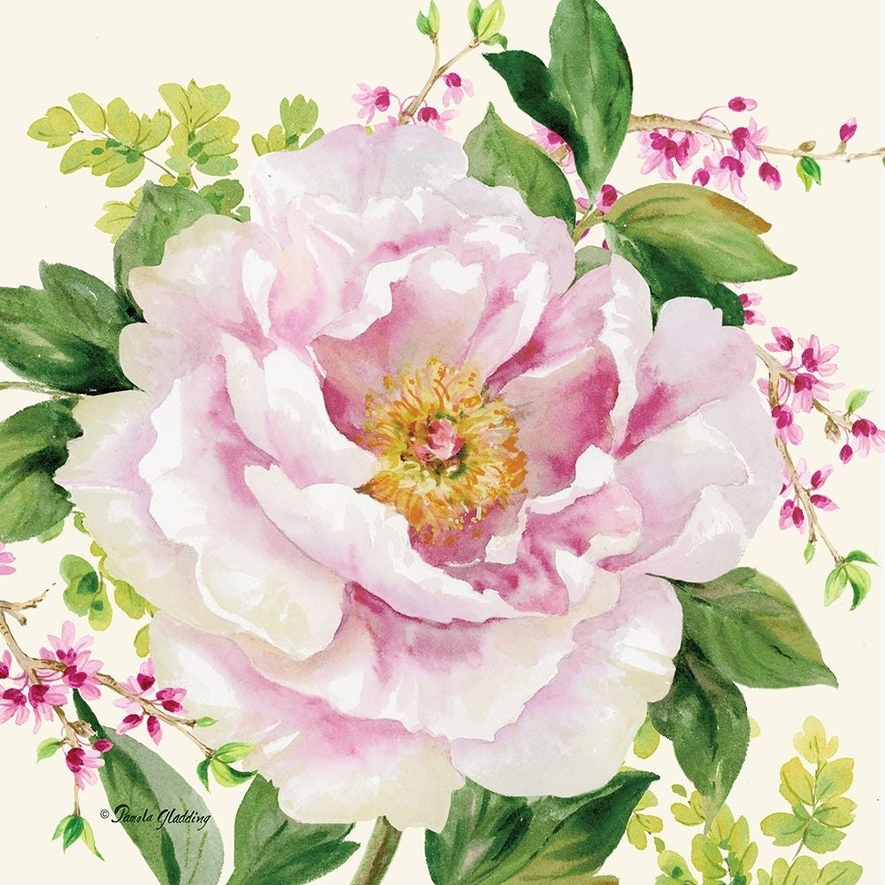 Hoh Peony I Poster Print - Pamela Gladding-VARPDXGLA688 Image 1