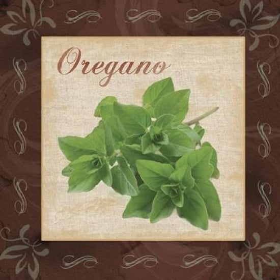 Oregano Poster Print by Lauren Gibbons-VARPDXGLSQ036B Image 1