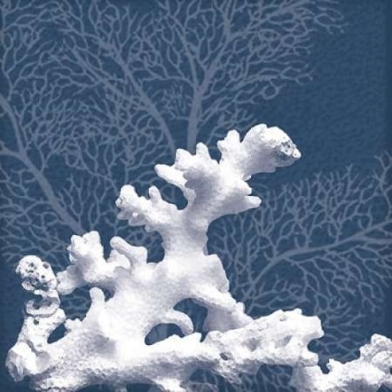 Sea Coral 1 Poster Print by Lauren Gibbons -VARPDXGLSQ184A Image 2