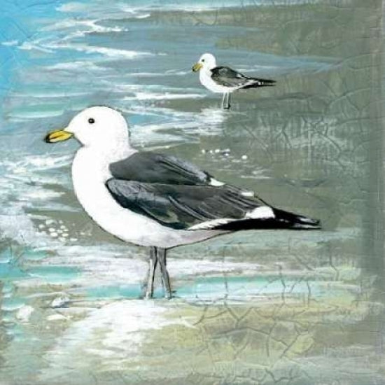 Sea Birds I Poster Print by Gregory Gorham-VARPDXGOR265 Image 1