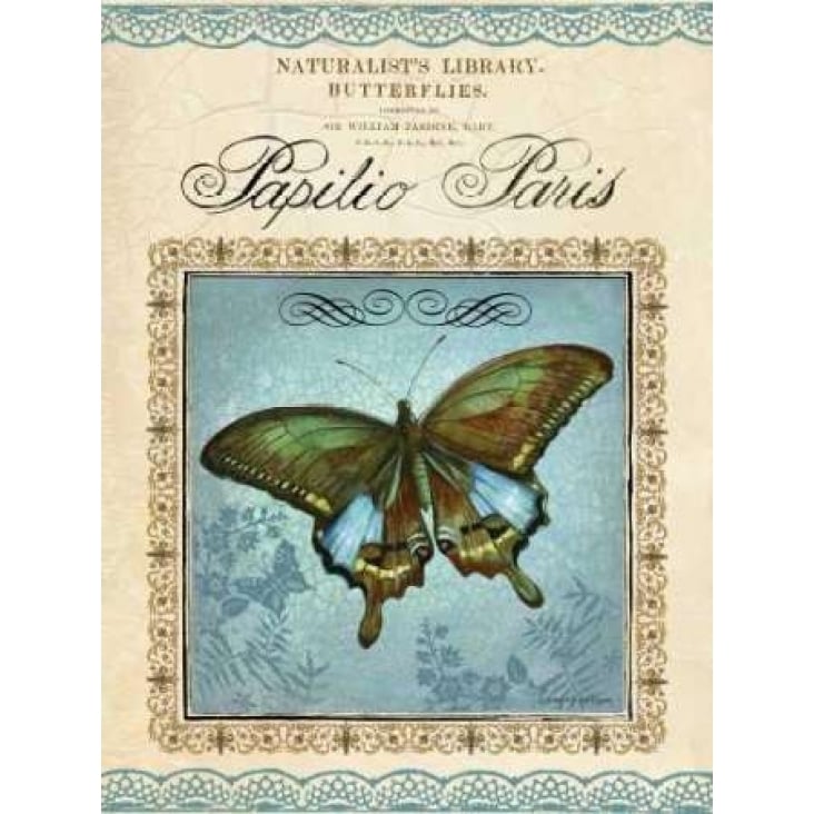 Papilio Paris Poster Print by Gregory Gorham-VARPDXGOR411 Image 1