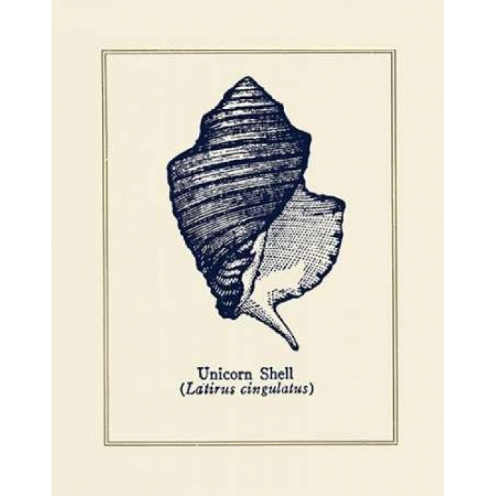 Unicorn Shell Poster Print by Gregory Gorham-VARPDXGOR489 Image 1