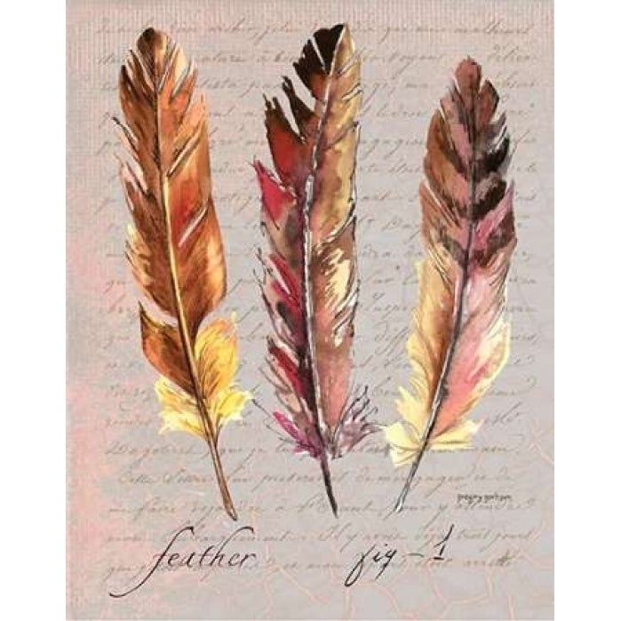 Feathers Fig 1 Poster Print by Gregory Gorham-VARPDXGOR544 Image 2