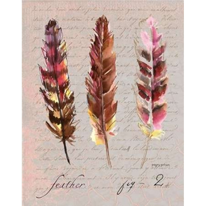 Feathers Fig 2 Poster Print by Gregory Gorham-VARPDXGOR545 Image 2