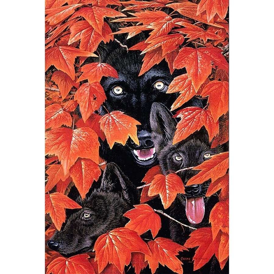 Wolves of the Fall Poster Print - Graeme Stevenson-VARPDXGRASTE266289 Image 1