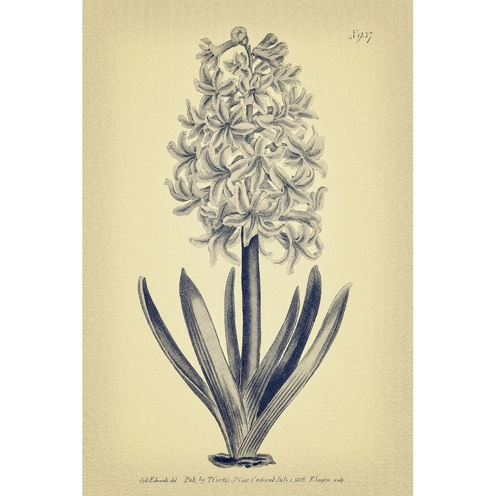 Gray and Yellow Hyacinth Botanical Poster Print - GST-VARPDXGST2024 Image 1