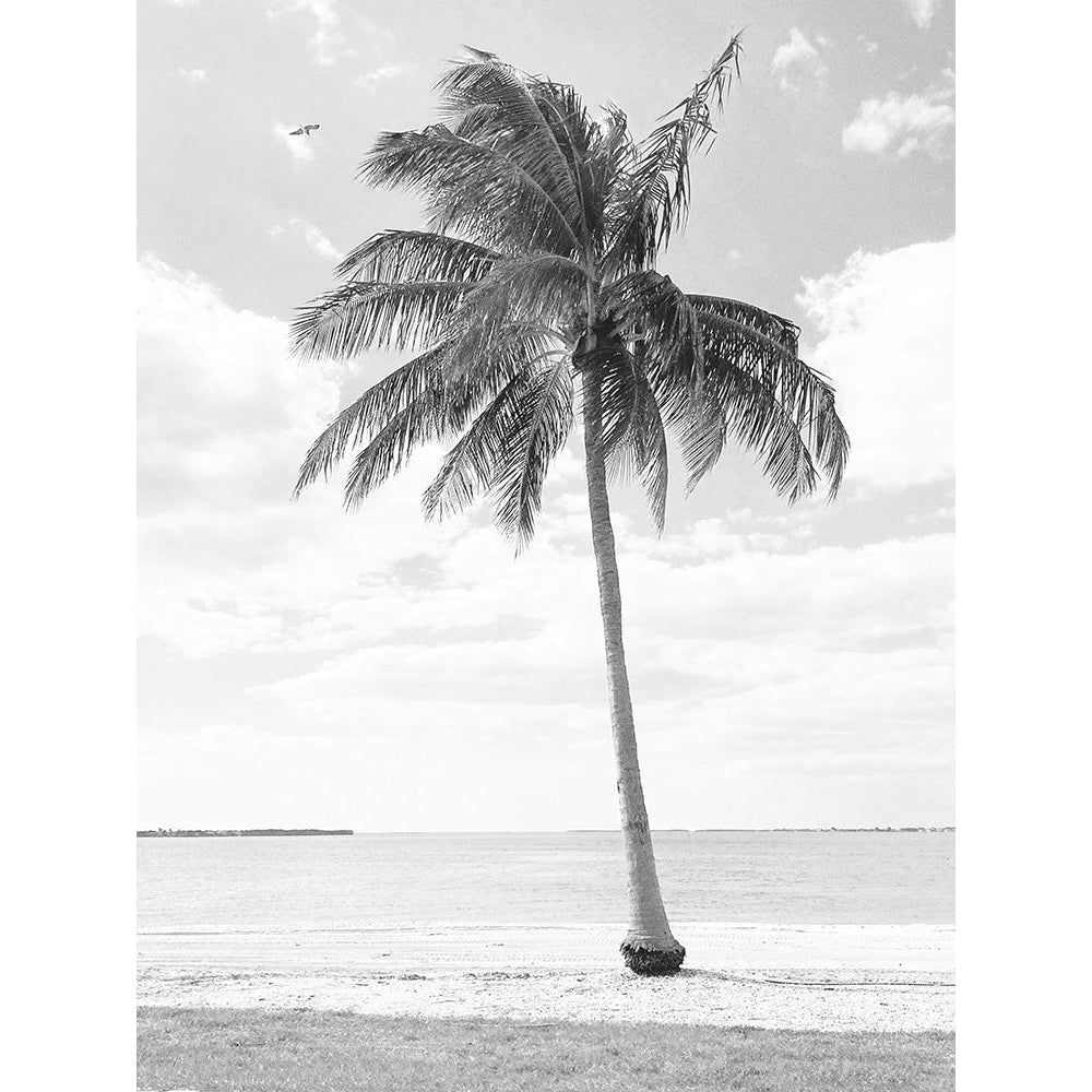 Island A Palm Poster Print - GST-VARPDXGST2083 Image 1