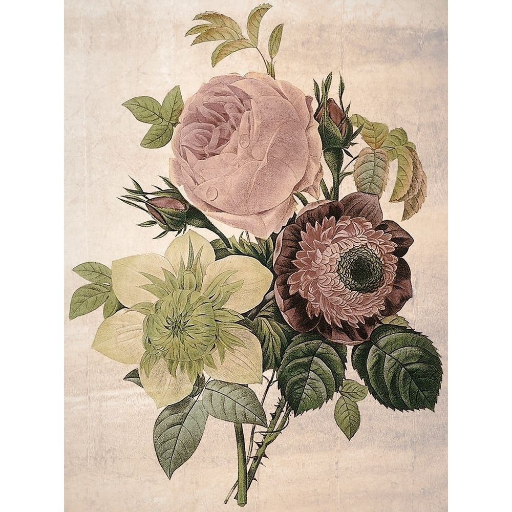 Peonies Redoute Poster Print - GST-VARPDXGST912 Image 1