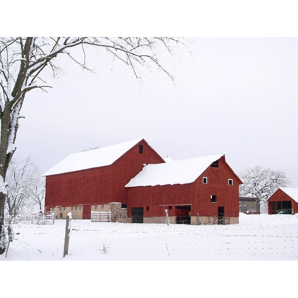 Red Winter Barn by Gerry Wilson-VARPDXGW026A Image 1