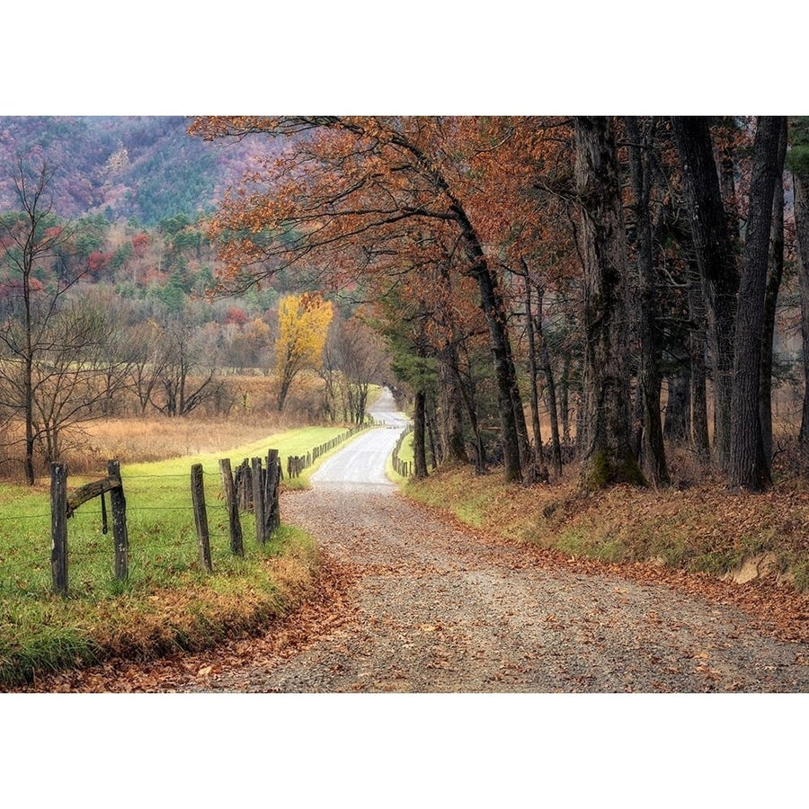 Autumn Drive I Poster Print - Danny Head-VARPDXH2105D Image 1