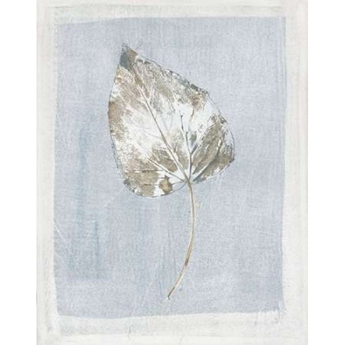 Winter Leaf II Poster Print by Paul Hargittai-VARPDXHAR160 Image 2