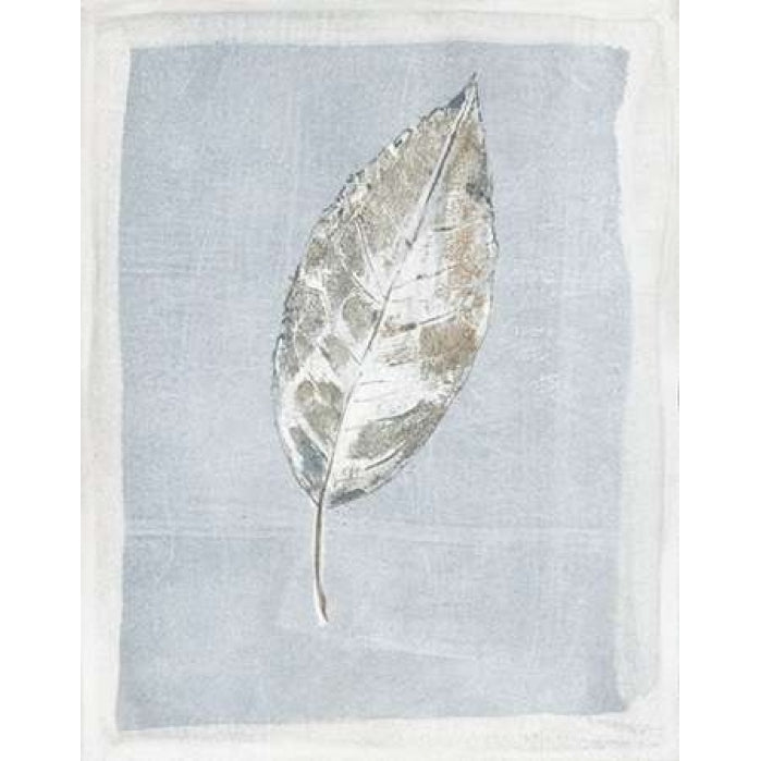 Winter Leaf I Poster Print by Paul Hargittai-VARPDXHAR159 Image 1