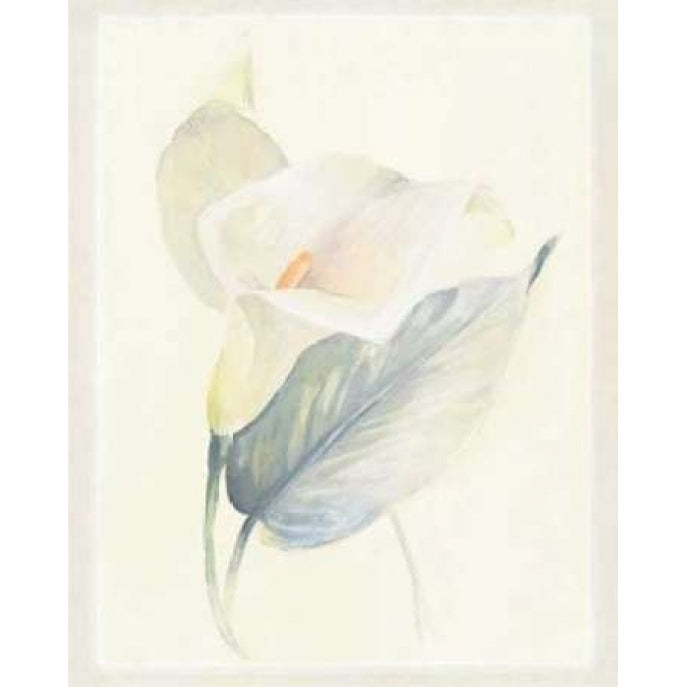 Calla Lily III Poster Print by Paul Hargittai-VARPDXHAR216 Image 2