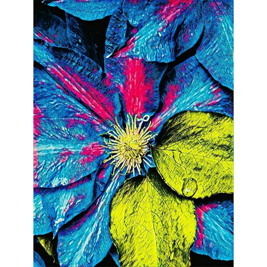 Clematis Abstract Poster Print by Heidi Bannon-VARPDXHBA116983 Image 1