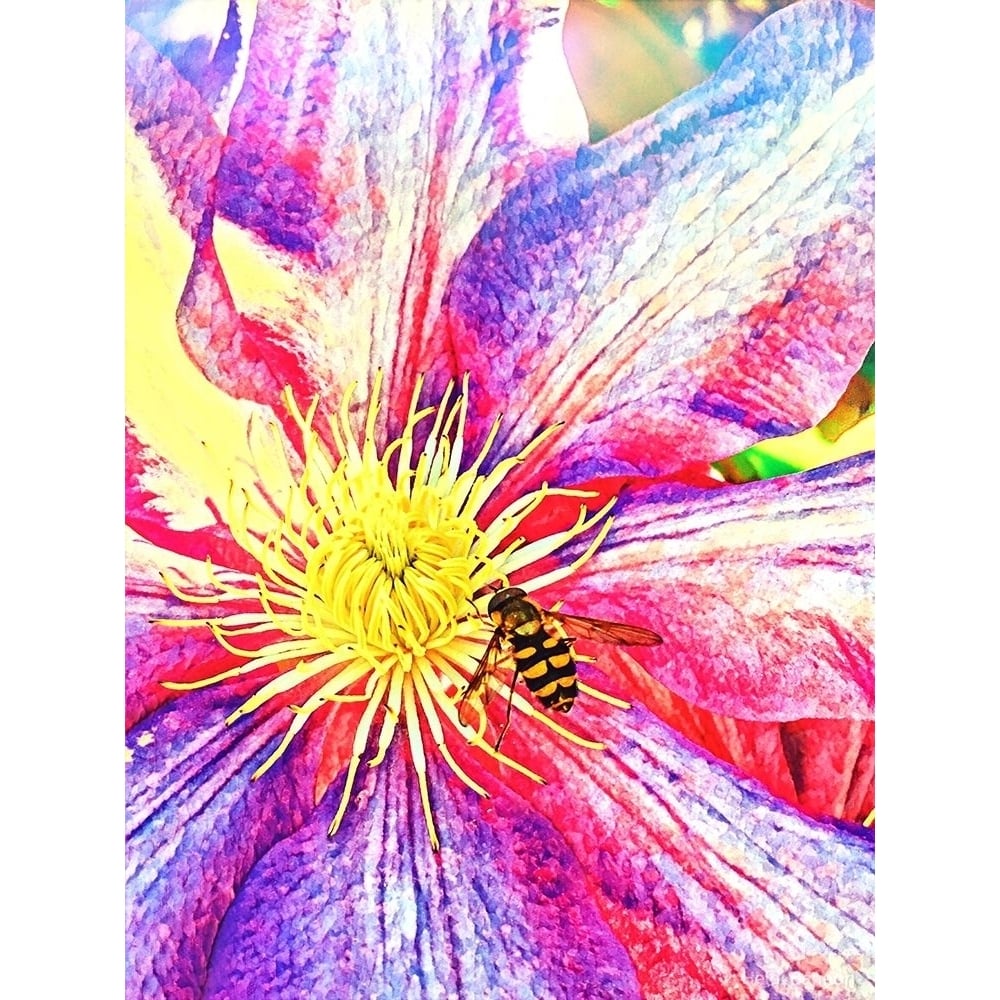 Happy Bee I Poster Print by Heidi Bannon-VARPDXHBA116988 Image 1