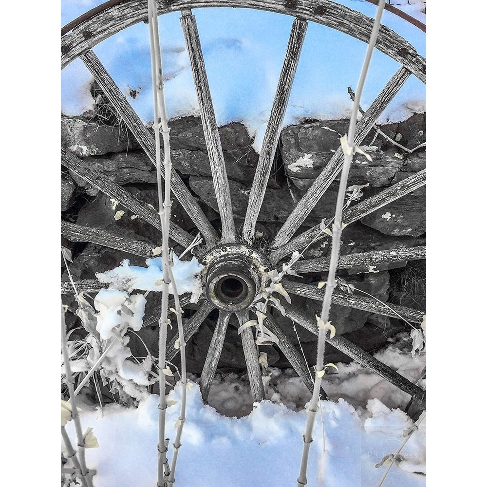 Montana Wagon Wheel II Poster Print by Heidi Bannon-VARPDXHBA117010 Image 1