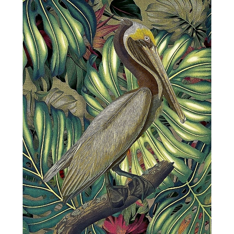 Jungled Pelican Poster Print by Steve Hunziker-VARPDXHD016A Image 1