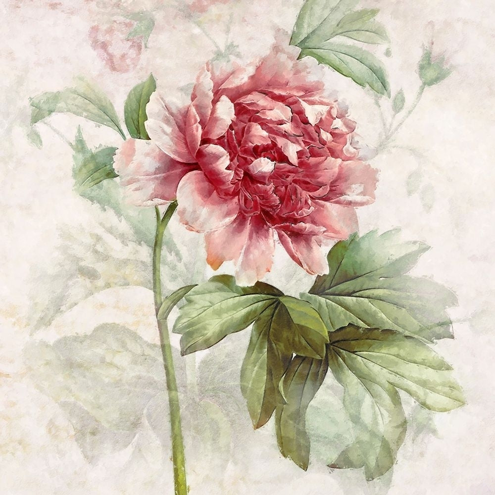 Ruby Floral I by Steve Hunziker-VARPDXHD030A Image 1