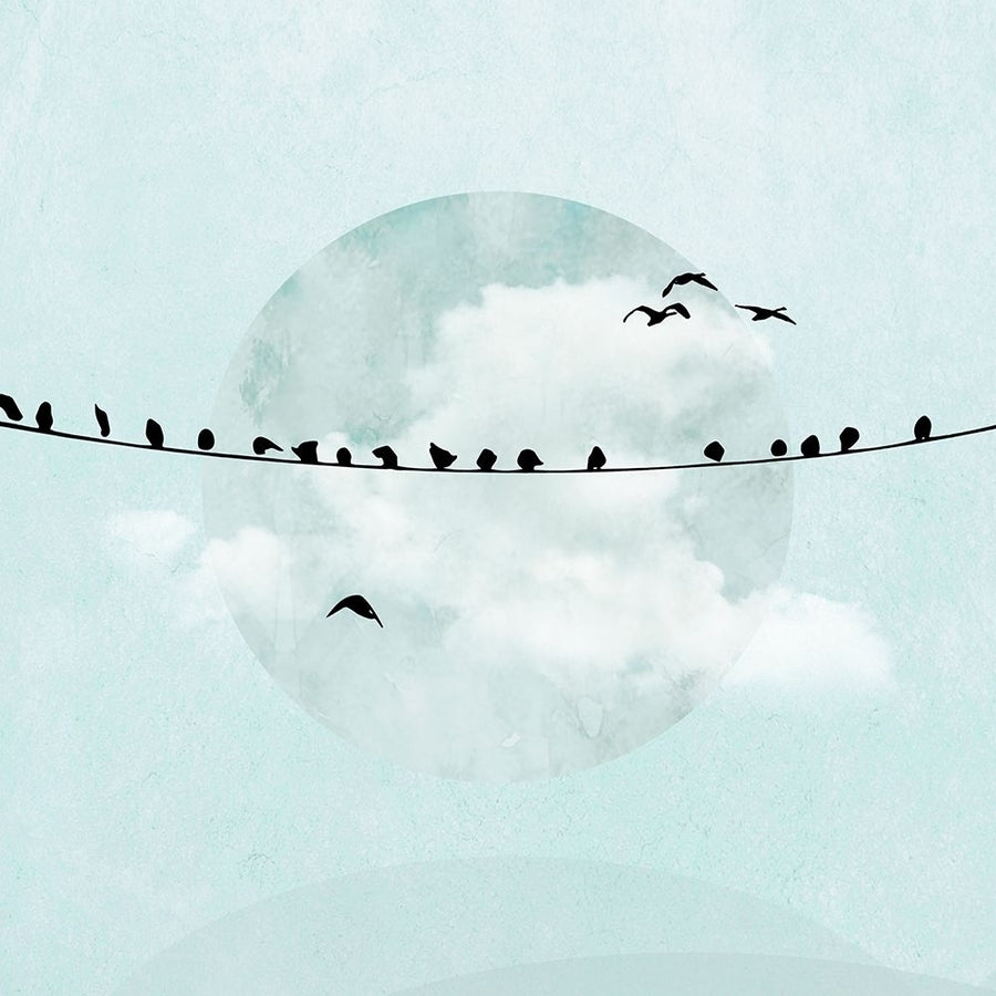 Birds on a Line I Poster Print by Hal Halli-VARPDXHH004A Image 1