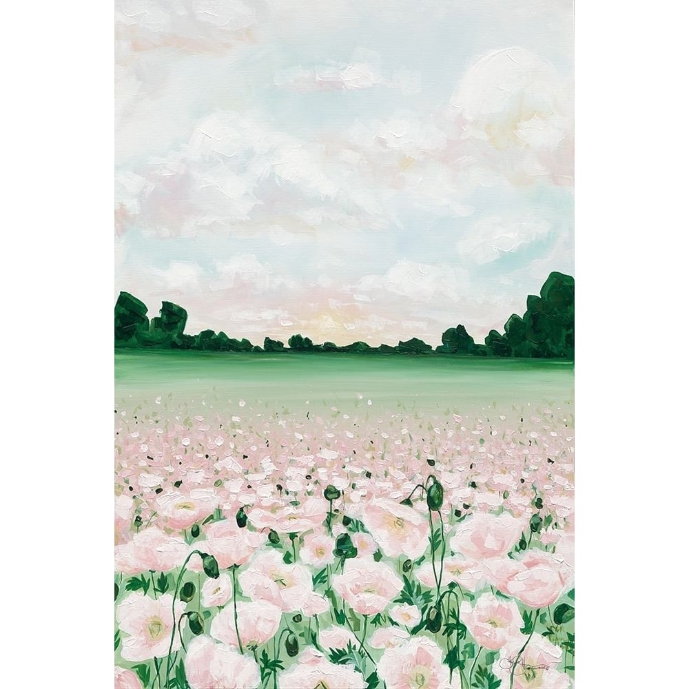 Pink Poppies Poster Print by Hollihocks Art Hollihocks Art-VARPDXHH138 Image 1