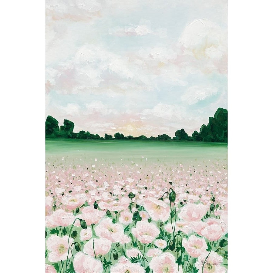 Pink Poppies Poster Print by Hollihocks Art Hollihocks Art-VARPDXHH138 Image 1