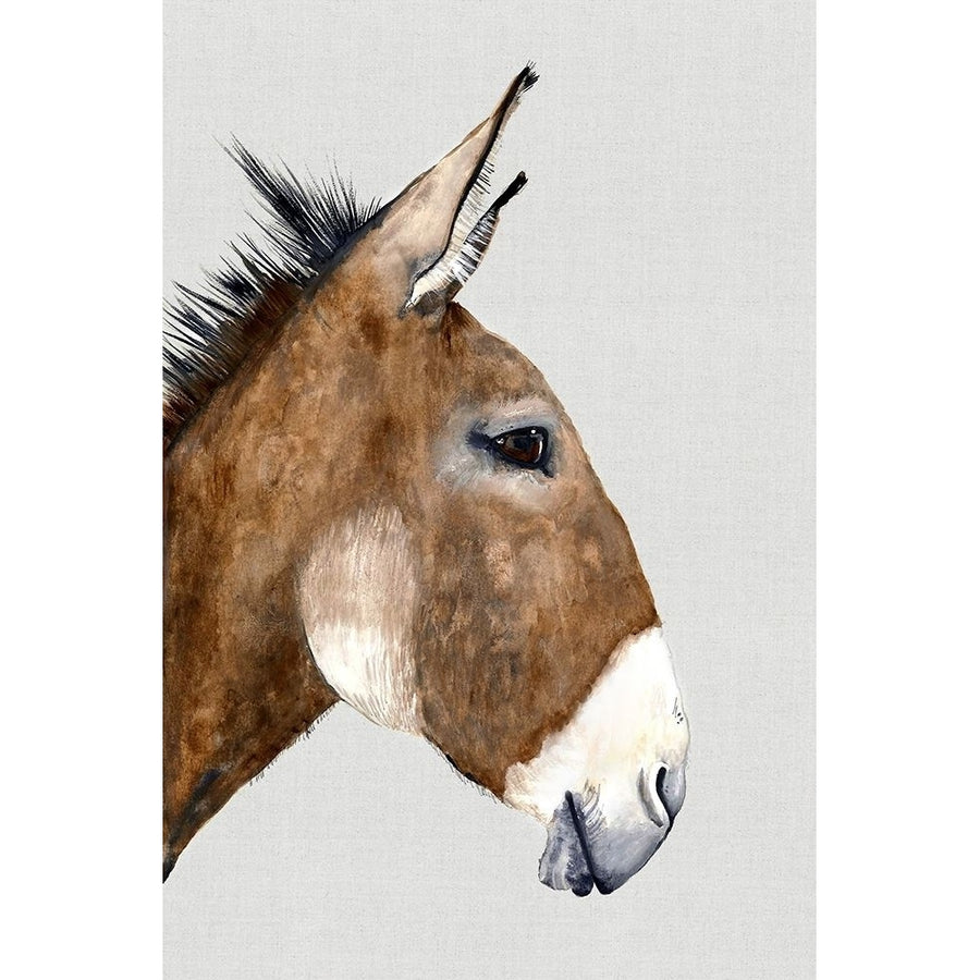 Brown Donkey?_ Poster Print by Jodi Hatfield-VARPDXHJ007A Image 1