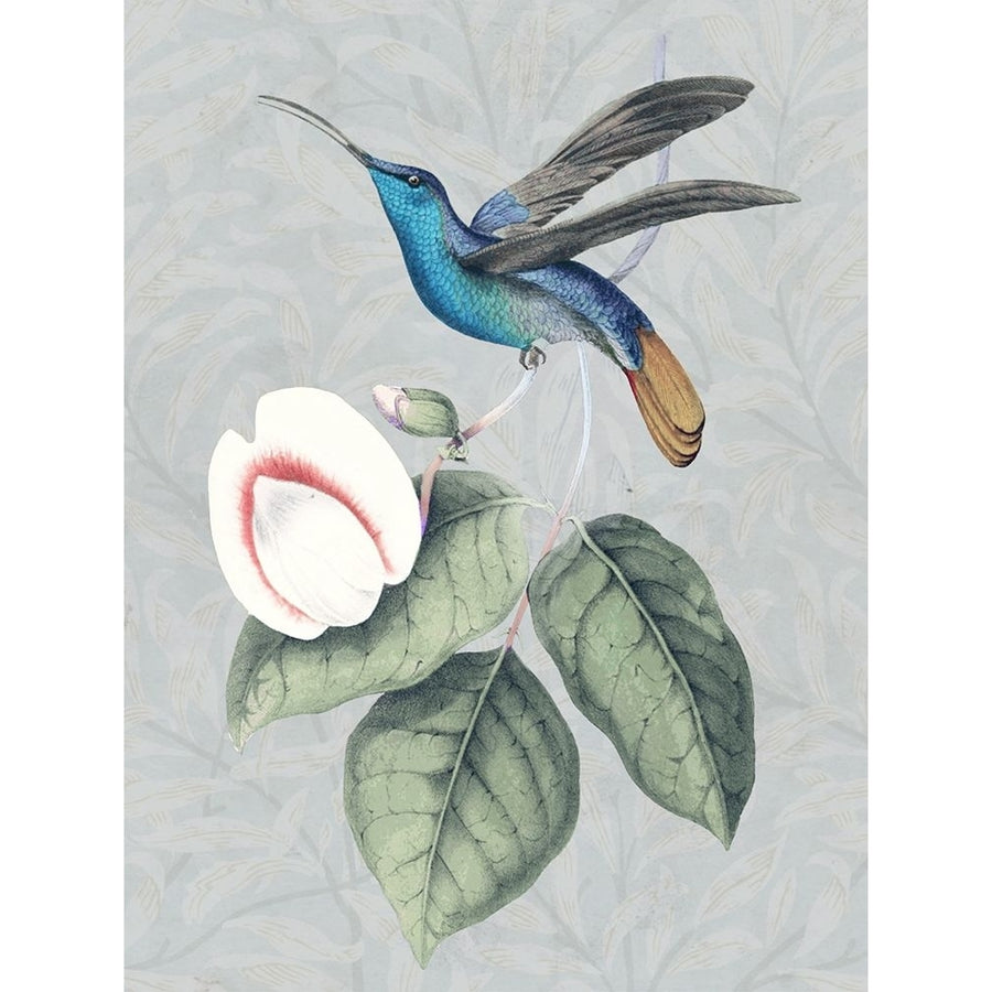 Bird and Bloom II Poster Print - Karen Smith-VARPDXHK072A Image 1