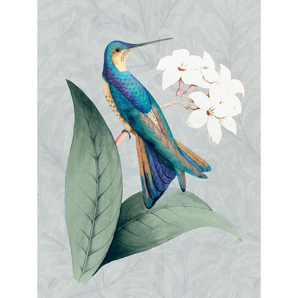 Bird and Bloom I Poster Print - Karen Smith-VARPDXHK071A Image 1