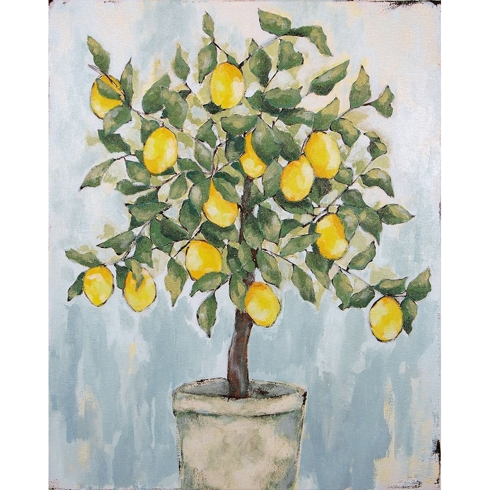 Lovely Lemons Poster Print by Jennifer Holden-VARPDXHOLD115 Image 1