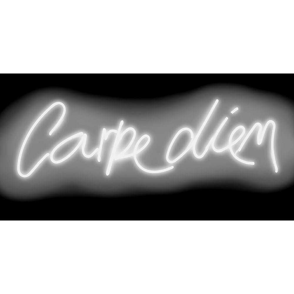 Neon Carpe Diem WB Poster Print by Hailey Carr-VARPDXHR116225 Image 1