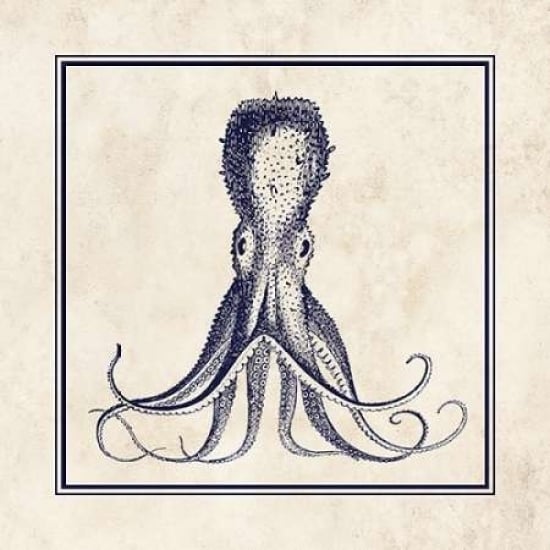 Octopus Sq Poster Print by N Harbick-VARPDXHRB208 Image 2