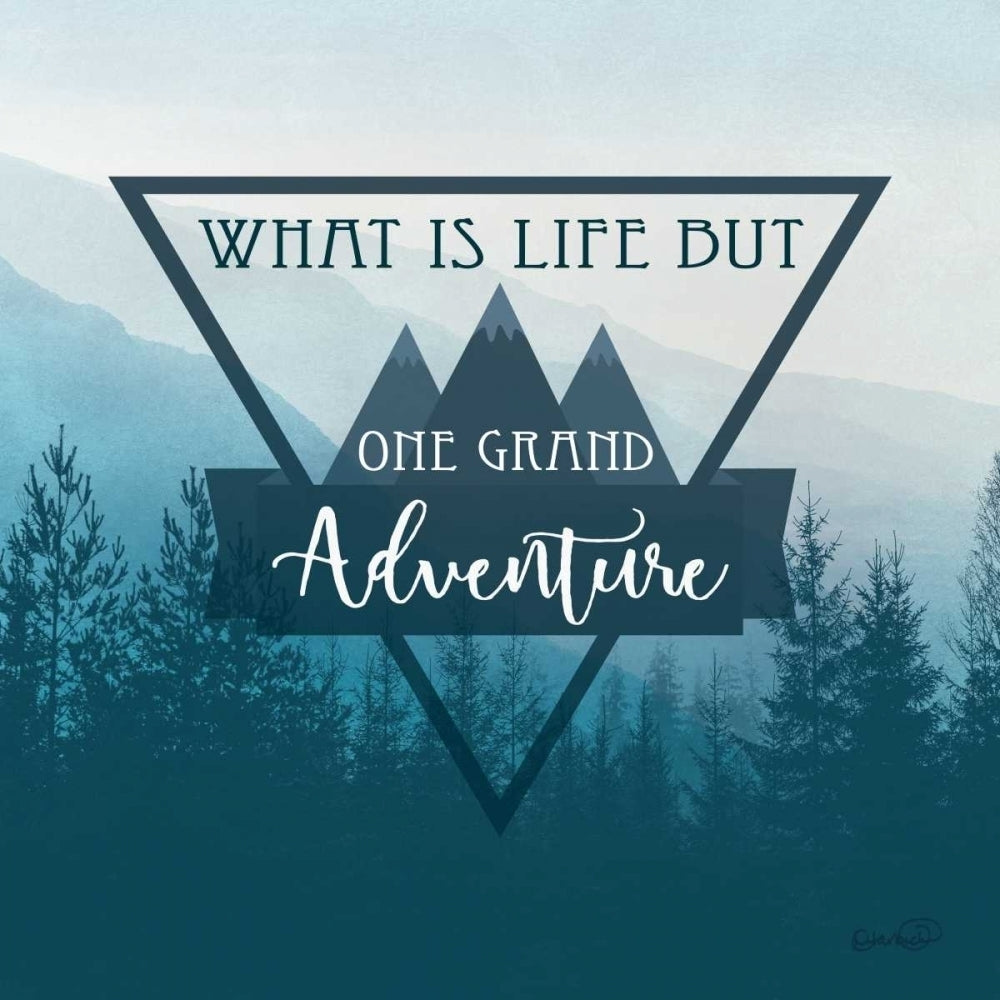 Adventure I Poster Print by N. Harbick-VARPDXHRB422 Image 1