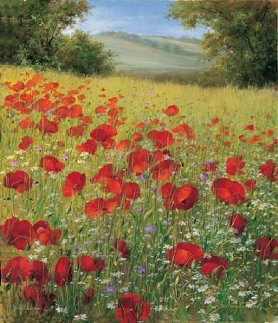 Sparkling field II Poster Print by Heinz Scholnhammer-VARPDXHS006 Image 1