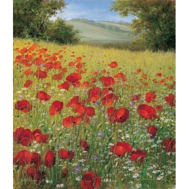 Sparkling field II Poster Print by Heinz Scholnhammer-VARPDXHS006 Image 2