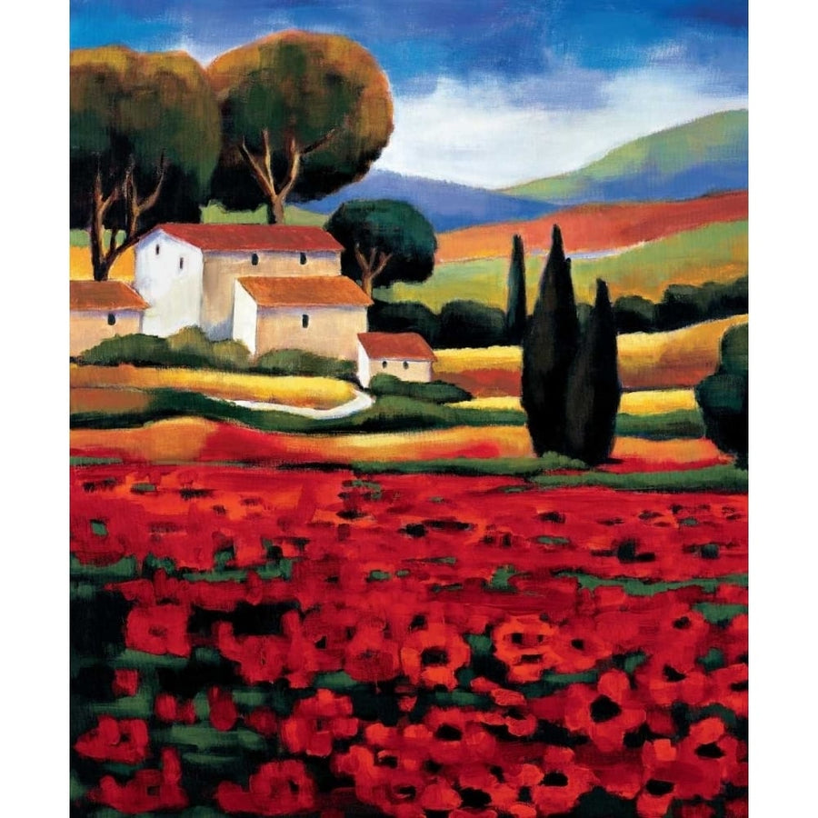 Poppy Field II Poster Print by Janine Clarke-VARPDXIAC4086 Image 1