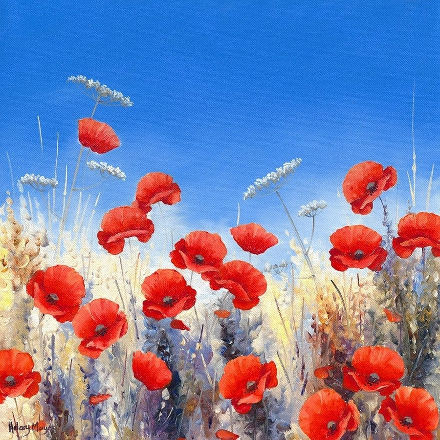 Poppy Meadow I by Hilary Mayes-VARPDXIG4521 Image 1