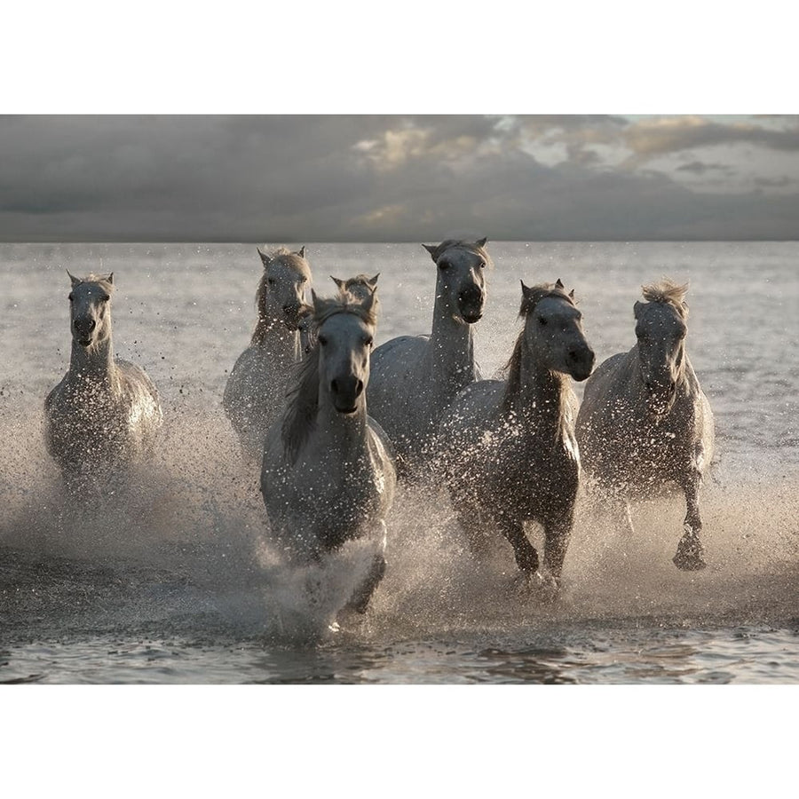 Horses Landing at the Beach by Jorge Llovet-VARPDXIG4660 Image 1