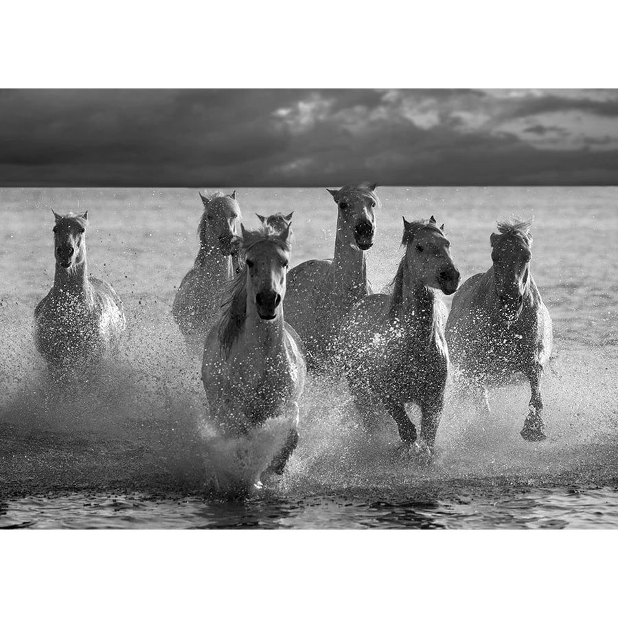 Horses Landing at the Beach by Jorge Llovet-VARPDXIG4659 Image 1