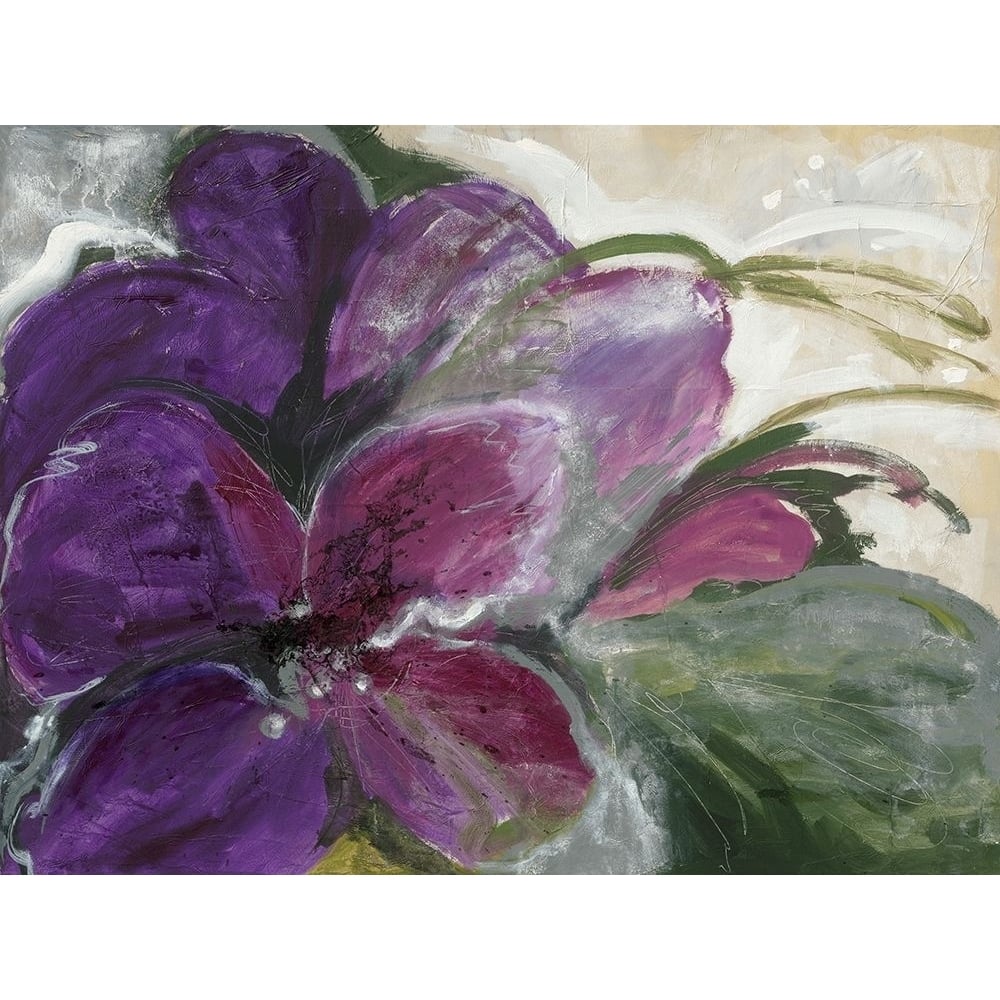 Clematis by Ingeborg Dreyer-VARPDXIG6484 Image 1