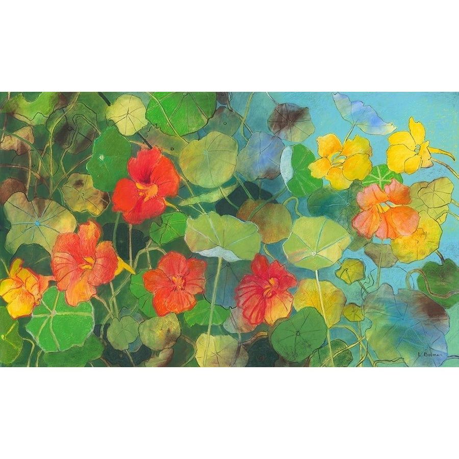 Nasturtium 2 by Loes Botman-VARPDXIG7440 Image 1